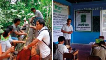 Capacitan a m&aacute;s de 70 autoridades y dirigentes de 13 comunidades ind&iacute;genas de Ucayali sobre recursos forestales