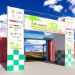 Feria Expoamaz&oacute;nica 2015 espera recibir m&aacute;s de 30 mil visitantes, desde el 13 al 16 de agosto, en Madre de Dios - Contar&aacute; con 300 Stands estrat&eacute;gicamente distribuidos en la sede del IST Jorge Basadre Grohman y el Coliseo Cerrado del IPD de Puerto Maldonado