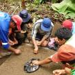 Financiar&aacute;n a productores que promuevan econegocios en &aacute;reas protegidas de San Mart&iacute;n y otras regiones del pa&iacute;s - Hay 11 asociaciones elegibles en Amazonas y San Mart&iacute;n, otras 11 en Tumbes, Piura y Lambayeque, y 9 en Arequipa, Moquegua y Tacna.