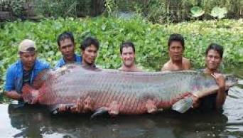 Expoamaz&oacute;nica es la gran oportunidad de negocios para mostrar lo mejor de la selva peruana al pa&iacute;s y al mundo