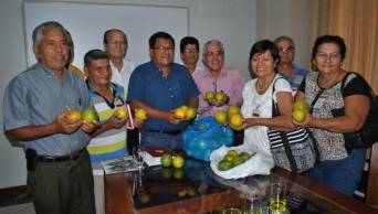 Buscan fortalecer cadena productiva de c&iacute;tricos en las provincias de Mariscal C&aacute;ceres, Bellavista, Huallaga y Tocache