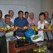 Buscan fortalecer cadena productiva de c&iacute;tricos en las provincias de Mariscal C&aacute;ceres, Bellavista, Huallaga y Tocache - A trav&eacute;s de charlas t&eacute;cnicas sobre cultivos, infraestructura productiva, capacitaci&oacute;n, asistencia t&eacute;cnica y fortalecimiento de las organizaciones.