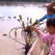 ProNoturaleza realiza jornada de limpieza en la ribera del r&iacute;o Tambo en la provincia de Atalaya, en Ucayali - Con el apoyo de la Agencia Internacional para el Desarrollo (Usaid), la Municipalidad Provincial de Atalaya, entre otras instituciones de la zona