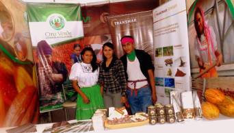Cooperativa Agraria Cafetalera Oro Verde, export&oacute; m&aacute;s de mil toneladas de cacao a mercados de EE.UU. y Europa