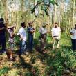 Promueven programa de desarrollo forestal sostenible en la regi&oacute;n San Mart&iacute;n y otras 7 regiones amaz&oacute;nicas - Para fortalecer capacidad operativa que les permita realizar una adecuada administraci&oacute;n y control del patrimonio forestal y de fauna silvestre