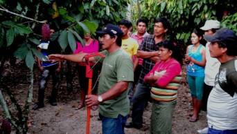 Gobierno Regional de San Mart&iacute;n impulsar&aacute; masificaci&oacute;n de experiencias exitosas de cultivos diversos en la regi&oacute;n