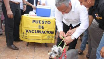 Red de Salud del Alto Mayo realizar&aacute; campa&ntilde;a gratuita de vacunaci&oacute;n canina el 26 y 27 de Septiembre, en Moyobamba