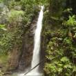 Gobierno Regional de San Mart&iacute;n incluir&aacute; a Cataratas de Huaja en nuevos circuitos tur&iacute;sticos de esta regi&oacute;n - Medida busca diversificar la oferta tur&iacute;stica en San Mart&iacute;n, que cuenta con una gran diversidad de recursos tanto naturales como culturales
