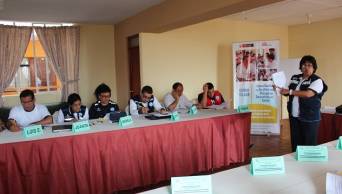 Capacitan a direcciones de Salud de las regiones del sur del pa&iacute;s en planificaci&oacute;n para enfrentar al Fen&oacute;meno El Ni&ntilde;o