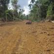 Denuncian al Gobierno Regional de Madre de Dios de construir carretera ilegal que pone en peligro al Parque Nacional del Manu - Sernanp tambi&eacute;n acusa a las autoridades de esa regi&oacute;n de haber azuzado la retenci&oacute;n de 39 turistas por los pobladores de Boca Manu, en el Manu