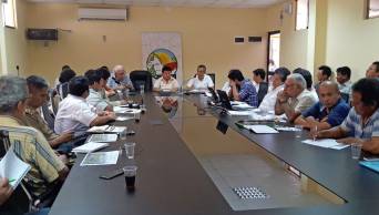 Exhortan a madereros de Ucayali a colaborar en lucha contra tala ilegal