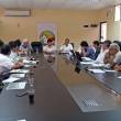 Exhortan a madereros de Ucayali a colaborar en lucha contra tala ilegal - 