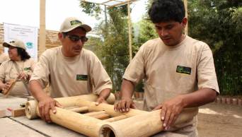 Capacitan en el uso del bamb&uacute; para acabados r&uacute;sticos de la construcci&oacute;n, a escolares de la regi&oacute;n Amazonas