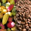 Este a&ntilde;o, las exportaciones de productos alternativos de las zonas cocaleras se duplicar&aacute;n a 500 millones de d&oacute;lares - El 2014, las exportaciones de estos productos sumaron 250 millones de d&oacute;lares, lo cual contribuy&oacute; a elevar los ingresos de los productores, seg&uacute;n Devida