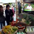 Feria "Per&uacute; Regiones: Amazon&iacute;a y Ecolog&iacute;a" a realizarse en Lima generar&aacute; ventas por 1.5 millones de nuevos soles - Participar&aacute;n unas 30 empresas que operan en las regiones Amazonas, Hu&aacute;nuco, Loreto, Madre de Dios, San Martin y Ucayali, seg&uacute;n se inform&oacute;