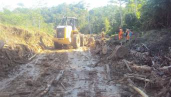Cuestionan ejecuci&oacute;n de carretera Carrizal�Monte Rico�Nuevo Pacaipampa, en San Mart&iacute;n, por atentar contra la ecolog&iacute;a