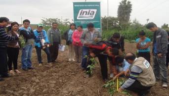 En marzo del 2016 empezar&aacute; segunda etapa de fondos concursables del Programa Nacional de Innovaci&oacute;n Agraria