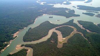 Per&uacute; cuenta con una estrategia nacional de Bosques y Cambio Clim&aacute;tico para abordar las emisiones de gases causantes del efecto invernadero