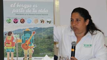 Serfor realiza un trabajo articulado con siete ministerios, para fomentar el despegue del sector forestal en el pa&iacute;s