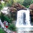Tingana: Un aut&eacute;ntico para&iacute;so en la ex&oacute;tica Selva Amaz&oacute;nica, cerca de Moyobamba, en San Mart&iacute;n - Bosque encantado atravesado por el r&iacute;o Avisado, peque&ntilde;o ecosistema muy particular, que invita a conocer todos los misterios que encierra