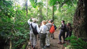 Cient&iacute;ficos registran 30 nuevas especies de flora para la ciencia en el Parque Nacional del Manu, en Madre de Dios