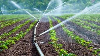 Gobierno regional impulsa agricultura tecnificada en las provincias de Tocache, Mariscal C&aacute;ceres y San Mart&iacute;n