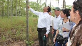 Destacan reciente promulgaci&oacute;n de los reglamentos de la Ley Forestal y de Fauna Silvestre N� 29763