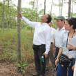 Destacan reciente promulgaci&oacute;n de los reglamentos de la Ley Forestal y de Fauna Silvestre N� 29763 - Lo m&aacute;s saltante de estas normas es que, por primera vez se reconoce el importante rol que cumplen las comunidades nativas y campesinas en el pa&iacute;s