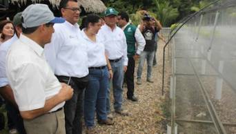 Gobierno impulsa la inversi&oacute;n privada en las plantaciones forestales para generar divisas y mayor empleo productivo