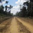 Verificar&aacute;n paralizaci&oacute;n de obras de v&iacute;a en zona de amortiguamiento de reserva comunal, en Madre de Dios - Sernanp ser&aacute; la encargada de verificar que se est&eacute; cumpliendo mandato judicial, de lo contrario comunicar&aacute; al Juzgado para las acciones del caso