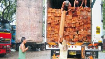Decomisan m&aacute;s de 16 mil pies tablares de madera ilegal en diversas zonas de las regiones Hu&aacute;nuco y Ucayali