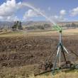 Regi&oacute;n Amazonas ejecuta obras de irrigaci&oacute;n para contrarrestar efectos de fen&oacute;meno El Ni&ntilde;o - FEN - 