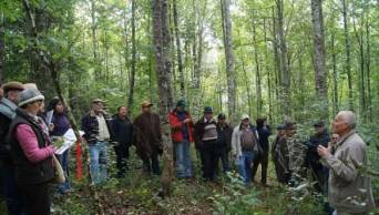 Cinco destacadas personalidades del pa&iacute;s expondr&aacute;n sus experiencias de c&oacute;mo los bosques cambiaron sus vidas