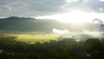 Regi&oacute;n San Mart&iacute;n, Loreto y Ucayali soportar&aacute;n  temperaturas de hasta 35.5 grados   - www.senamhi.gob.pe