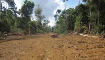 Fiscal&iacute;a formaliza investigaci&oacute;n contra el gobernador regional de Madre de Dios, por presunto delito ambiental