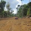 Fiscal&iacute;a formaliza investigaci&oacute;n contra el gobernador regional de Madre de Dios, por presunto delito ambiental - Por los da&ntilde;os que habr&iacute;a ocasionado como resultado de la construcci&oacute;n de carreteras en la zona de reserva del Parque Nacional del Manu, se inform&oacute;
