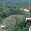 Exitoso mega operativo contra la tala ilegal y destrucci&oacute;n de bosques se realiz&oacute; en la provincia de Tocache, en San Mart&iacute;n - Representante de Ministerio P&uacute;blico, manifest&oacute; que tras comprobarse el da&ntilde;o ambiental causado en la zona, tomar&aacute; las acciones legales correspondientes