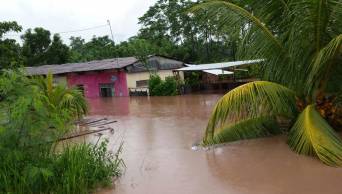 Hay 11 familias damnificadas por el desborde de los r&iacute;os Serrano y Saposoa en San Mart&iacute;n