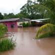 Hay 11 familias damnificadas por el desborde de los r&iacute;os Serrano y Saposoa en San Mart&iacute;n - 