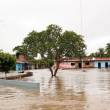 Hasta el momento hay 1,202 damnificados y 106 casas colapsadas por inundaciones en 7 provincias de la regi&oacute;n San Mart&iacute;n - Seg&uacute;n el Centro de Operaciones de Emergencia Regional de San Mart&iacute;n se reportaron da&ntilde;os en Bellavista, Moyobamba, Rioja, Huallaga, Mariscal C&aacute;ceres y Picota.