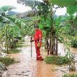 Repentino aumento del caudal del r&iacute;o Huallaga amenaza con arrasar terrenos de cultivos en Tocache, San Mart&iacute;n - Debido a las persistentes lluvias de los &uacute;ltimos d&iacute;as su caudal alcanz&oacute; niveles cercanos al cr&iacute;tico en la regi&oacute;n Hu&aacute;nuco, seg&uacute;n se inform&oacute;