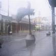 Tingo Mar&iacute;a y Pucallpa las m&aacute;s afectadas por las lluvias que se registran en las regiones de Hu&aacute;nuco y Ucayali - Mientras tanto, el r&iacute;o Huallaga en la estaci&oacute;n Tocache, aument&oacute; unos 5 metros y est&aacute; en su valor cr&iacute;tico de inundaci&oacute;n, seg&uacute;n indic&oacute; el Senamhi.