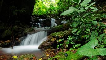 Nuevas �reas de Conservaci&oacute;n Privada El Cortijo y San Pedro, aportan a la protecci&oacute;n ambiental en Loreto y Amazonas