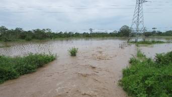 Desborde de r&iacute;o Tonchima afecta cultivos de arroz en el distrito de Soritor, provincia de Moyobamba, en San Mart&iacute;n