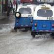 Lluvias moderadas continuar&aacute;n hasta ma&ntilde;ana en la selva alta y la sierra, inform&oacute; el SENAMHI - 