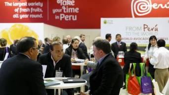 Promover&aacute;n exportaciones de frutas y hortalizas frescas en Europa, en la Feria Fruit Logistica 2016, de Alemania