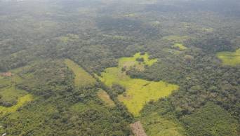 Implementan primer Sistema de Alerta Temprana contra actividades il&iacute;citas en �reas Naturales Protegidas, de Madre de Dios