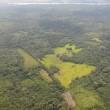 Implementan primer Sistema de Alerta Temprana contra actividades il&iacute;citas en �reas Naturales Protegidas, de Madre de Dios - Como parte de las acciones de gesti&oacute;n participativa entre SERNANP y la Asociaci&oacute;n para la Investigaci&oacute;n y Desarrollo Integral (AIDER), se inform&oacute;