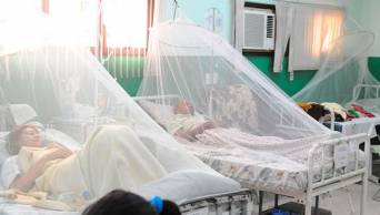 Red Asistencial de EsSalud Hu&aacute;nuco confirma dos primeros casos de dengue del a&ntilde;o en pacientes llegados de Tingo Mar&iacute;a