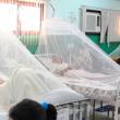 Red Asistencial de EsSalud Hu&aacute;nuco confirma dos primeros casos de dengue del a&ntilde;o en pacientes llegados de Tingo Mar&iacute;a - Recomiendan a poblaci&oacute;n no tener aguas estancadas en viviendas que se convierten en criaderos del mosquito transmisor, el aedes aegypti.